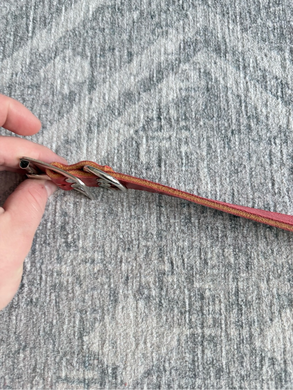 Classic Red Leather Dog Collar with Metal Hardware